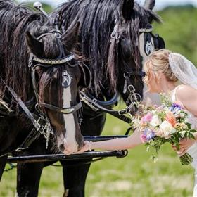 fwthumbbride bou1.jpg